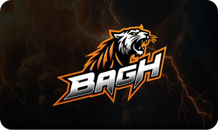 bagh8 casino