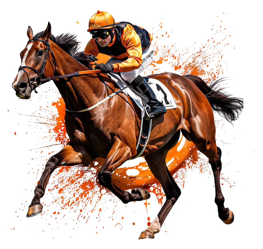 Bagh Horseracing Casino